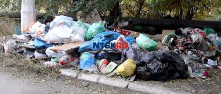 Грызуны атакуют: жители частного сектора требуют действий