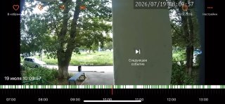 Бездомные собаки вновь атакуют детей в Ясном: пострадала девочка