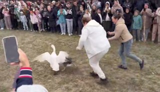 Фестиваль «Га-га-гуси»: Гусиный забег в Оренбуржье