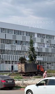 Сквер Романенко под угрозой: деревья высыхают