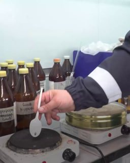 В Архангельской области запустили завод по добыче йода